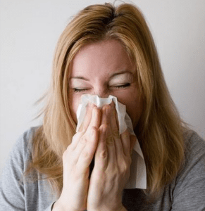 Combate la alergia primaveral con mosquiteras