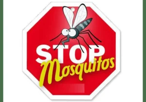 Mosquiteras madrid