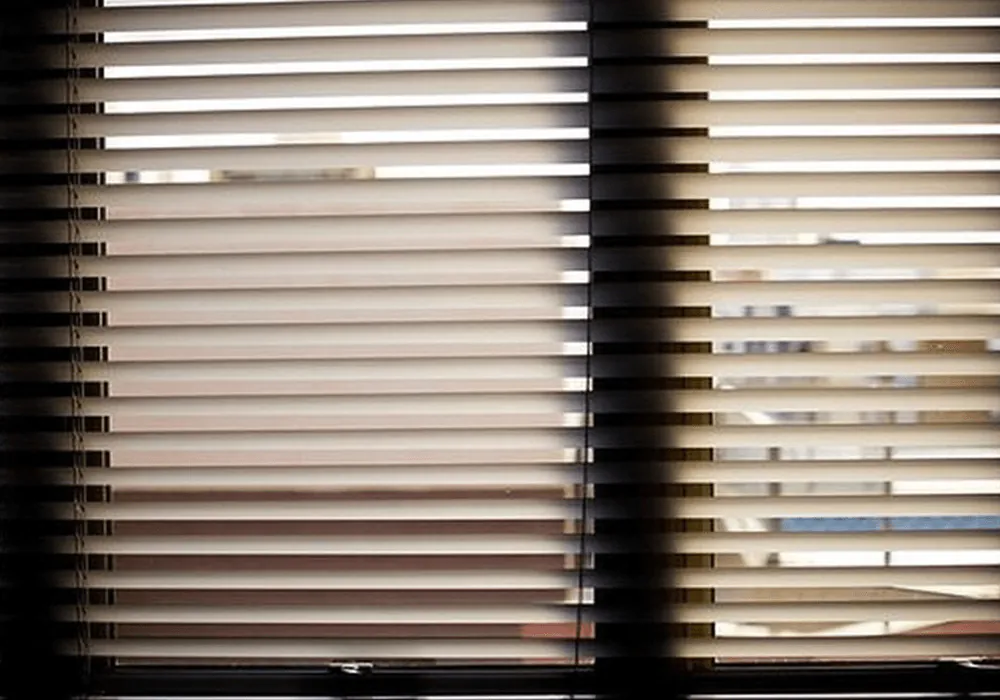 Una ventana hacia el futuro